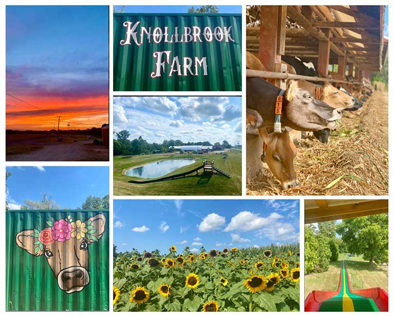 Guest cards are punched at each post to show who found all 12 posts in the corn maze at Knollbrook Farm in Goshen, Indiana